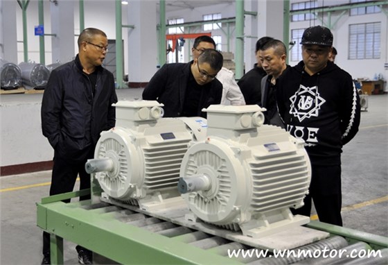 浙江客人參觀(guān)皖南電機(jī)2.jpg