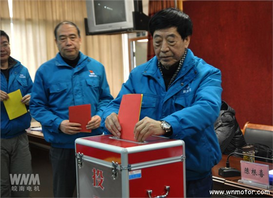 皖南電機(jī)陳根喜、管兵在投票現(xiàn)場(chǎng)