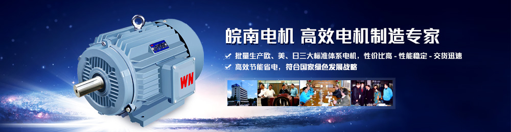 電機(jī)生產(chǎn)廠(chǎng)家